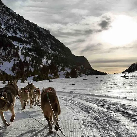 Hotel Casa Cornel Cerler