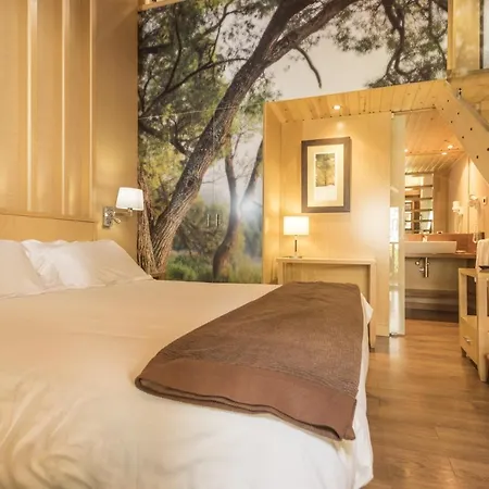 Hotel Casa Cornel Cerler