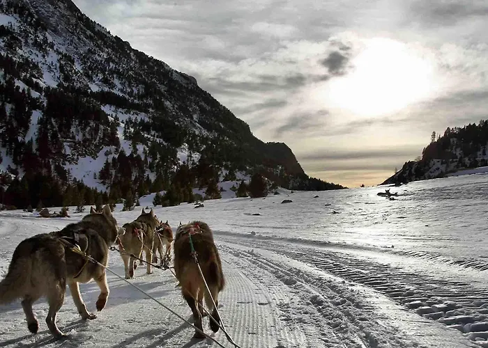 Hotel Casa Cornel Cerler